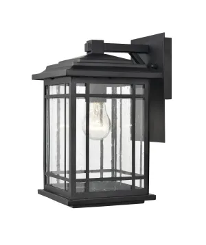 Armington Outdoor Wall Sconce - Powder Coat Black - Clear Seeded Glass - 8.625in. Extension - E26 Medium Base