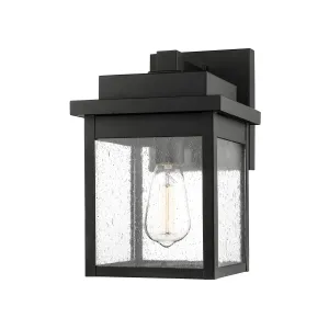 Belle Chasse Outdoor Wall Sconce - Powder Coat Black - Clear Seeded Glass - 12.25in. Extension - E26 Medium Base