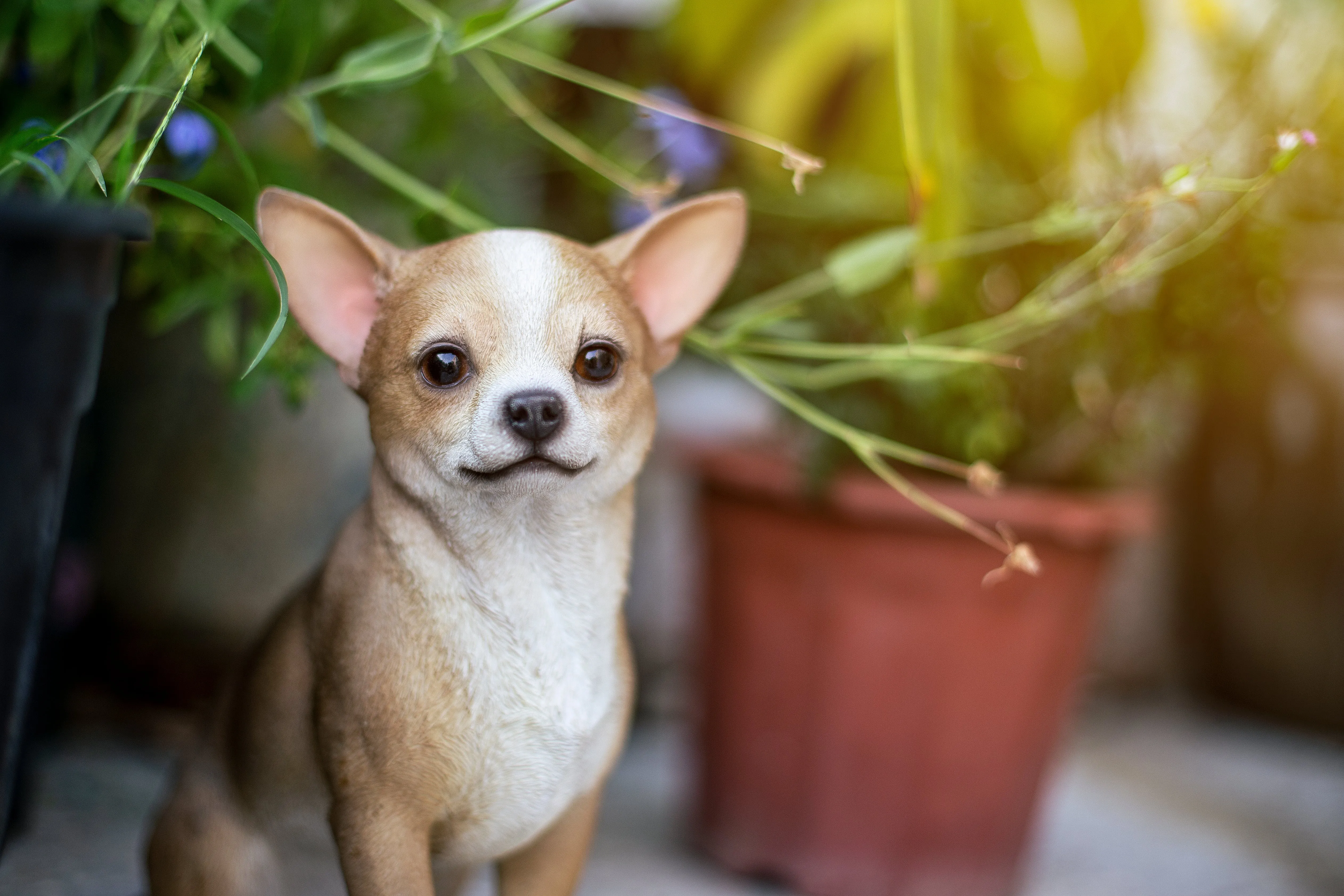 Chihuahua Sitting Statue