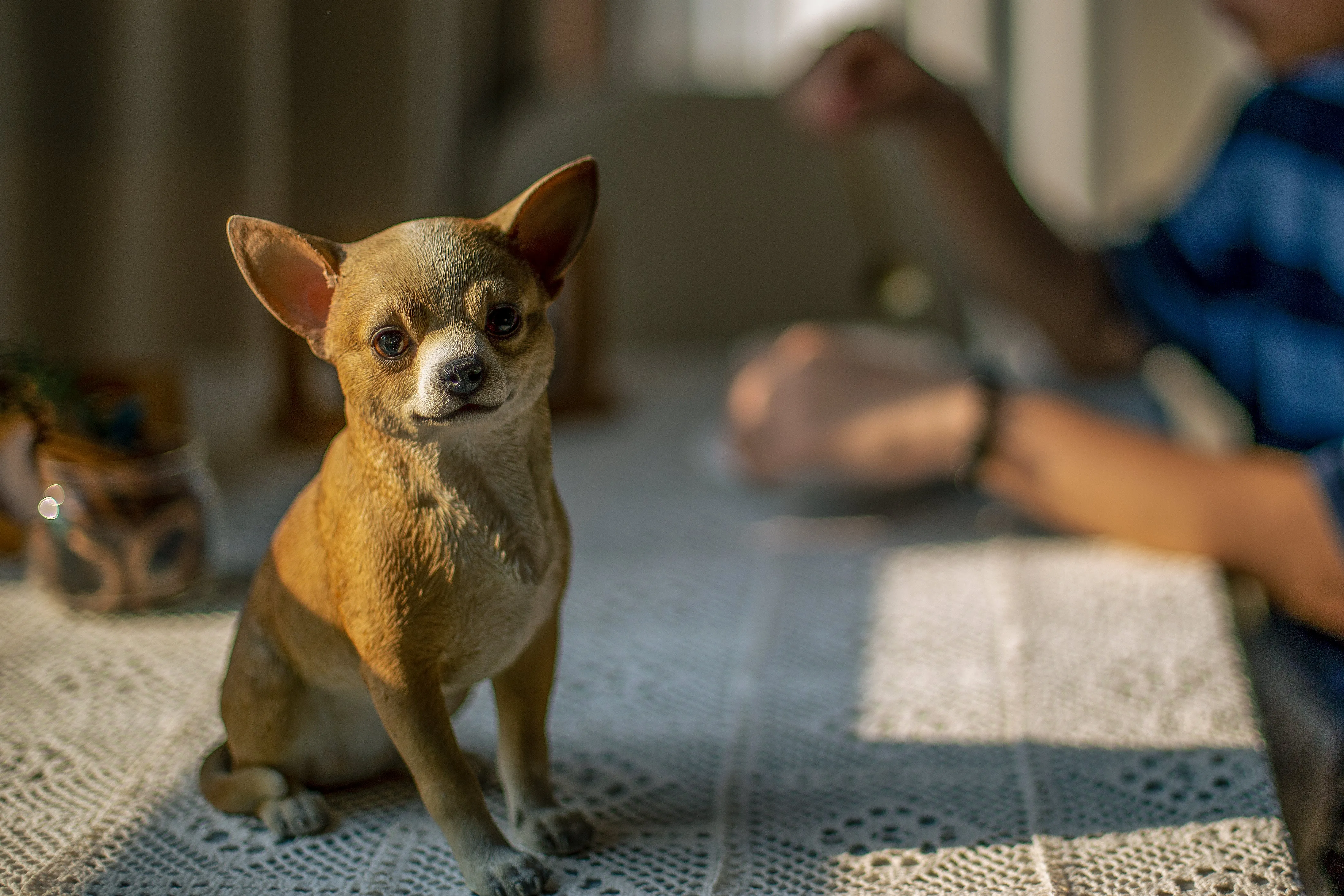 Chihuahua Sitting Statue