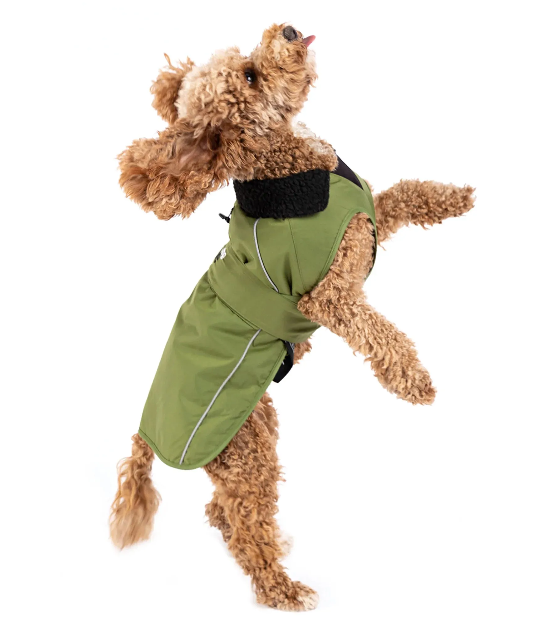 Dryrobe Dog Coat - Forest Green and Black