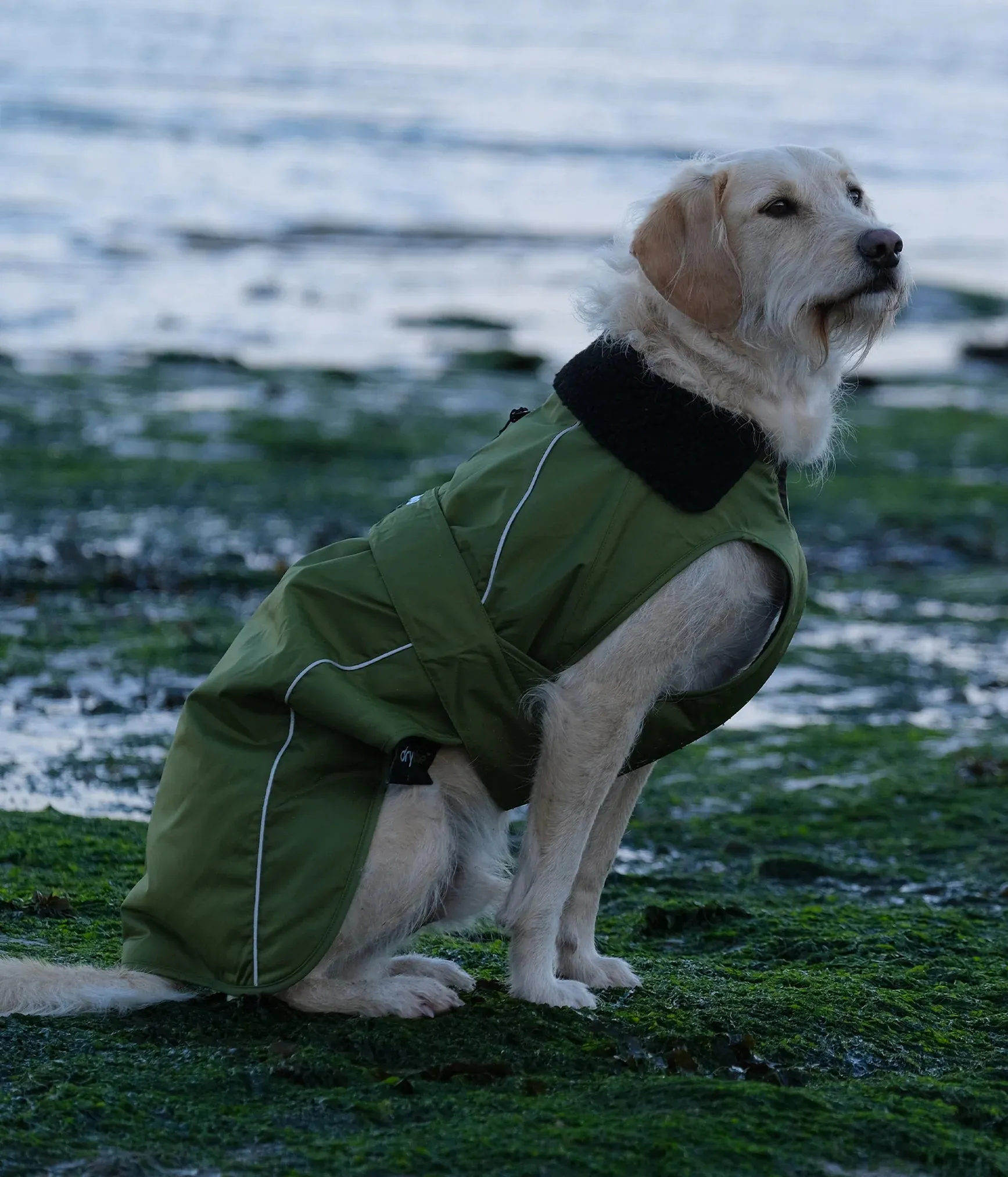 Dryrobe Dog Coat - Forest Green and Black