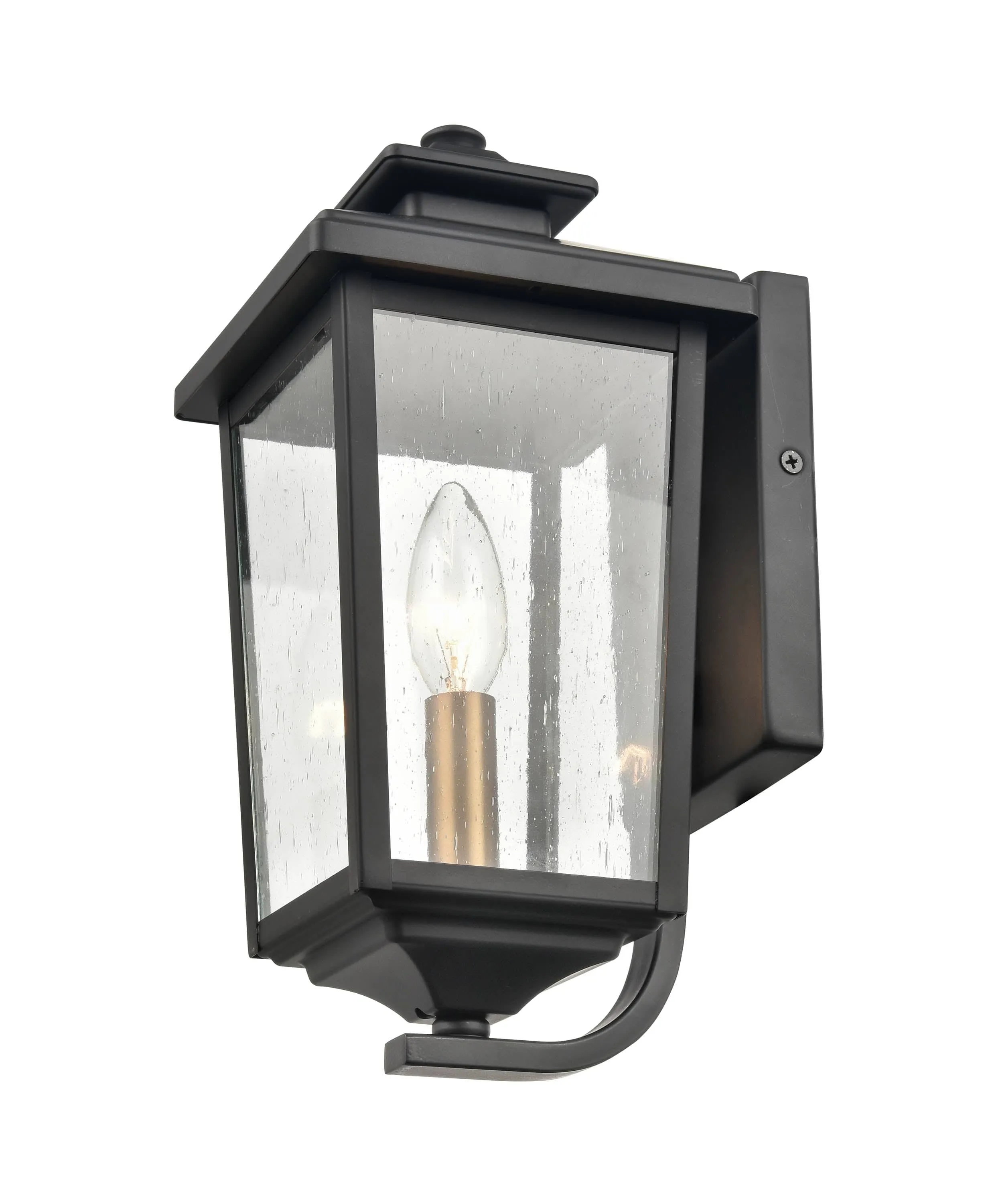 Eldrick Outdoor Wall Sconce - Powder Coat Black - Clear Seeded Glass - 6.875in. Extension - E12 Candelabra Base