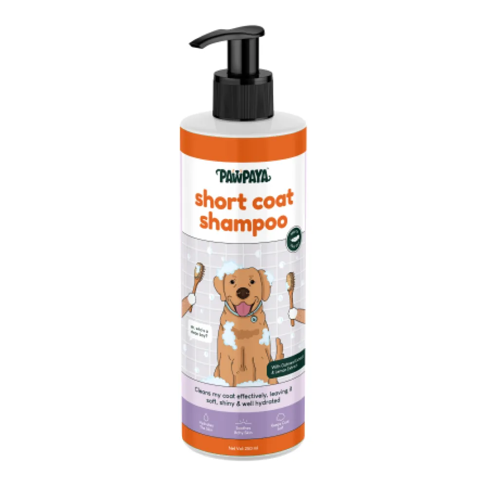 Pawpaya Short Coat Shampoo for Dogs