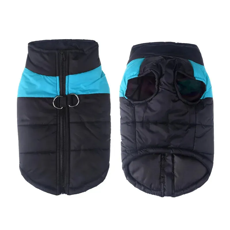 Premium Waterproof Winter Dog Coat - Tailored for Dogs of All Sizes, - Keep Your dog Cozy, All Sizes