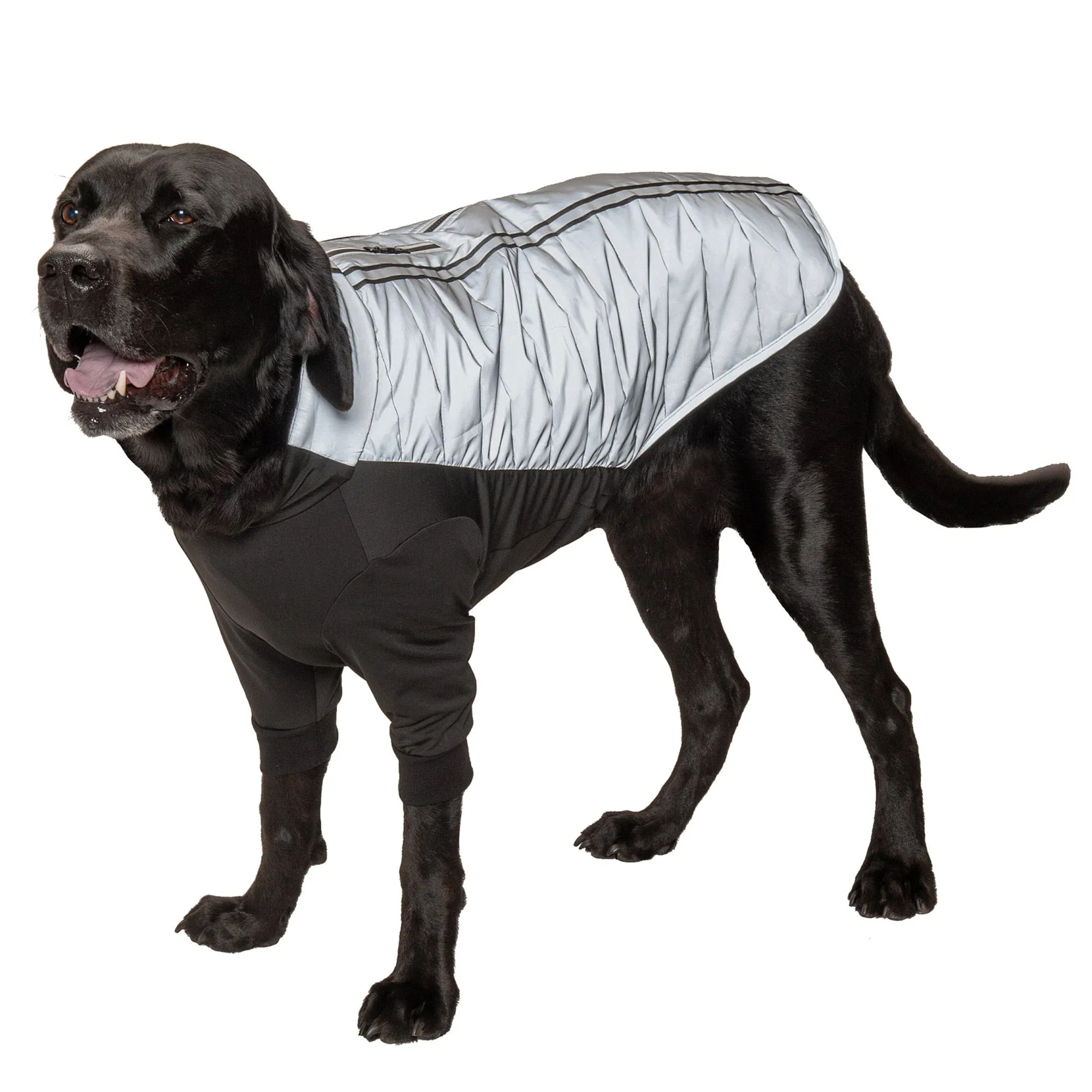 Water-Repellent Reflective Active Pro-Fit Dog Coat