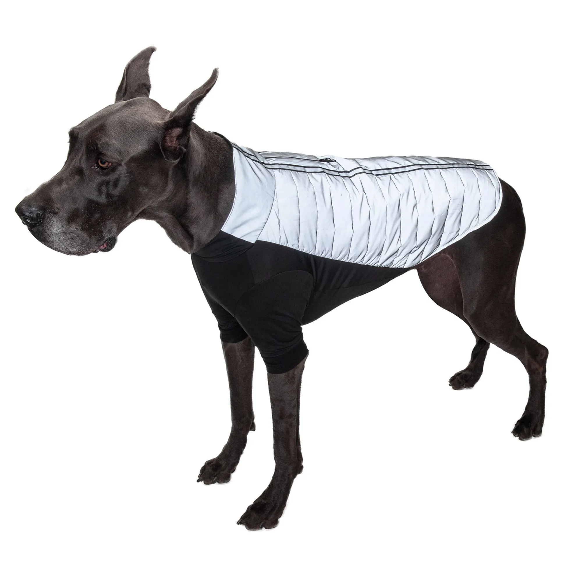 Water-Repellent Reflective Active Pro-Fit Dog Coat