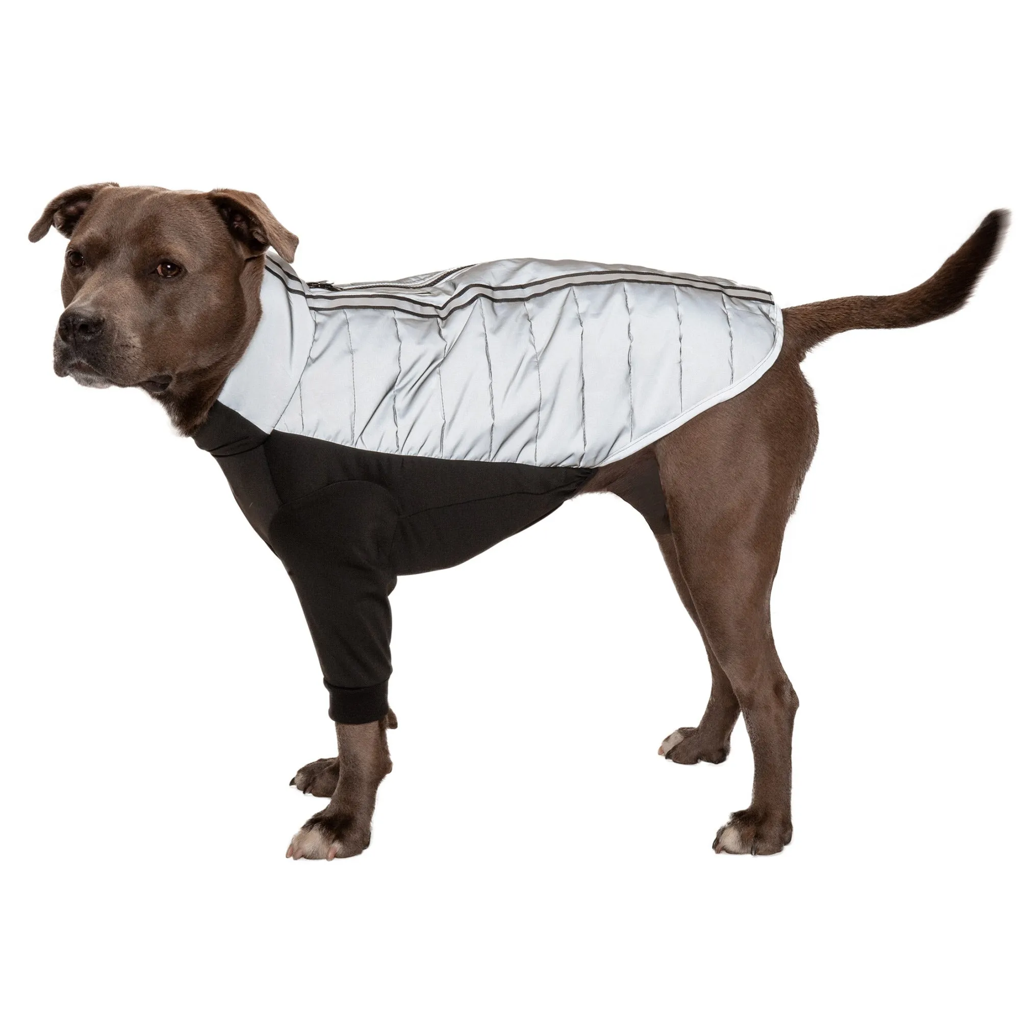 Water-Repellent Reflective Active Pro-Fit Dog Coat