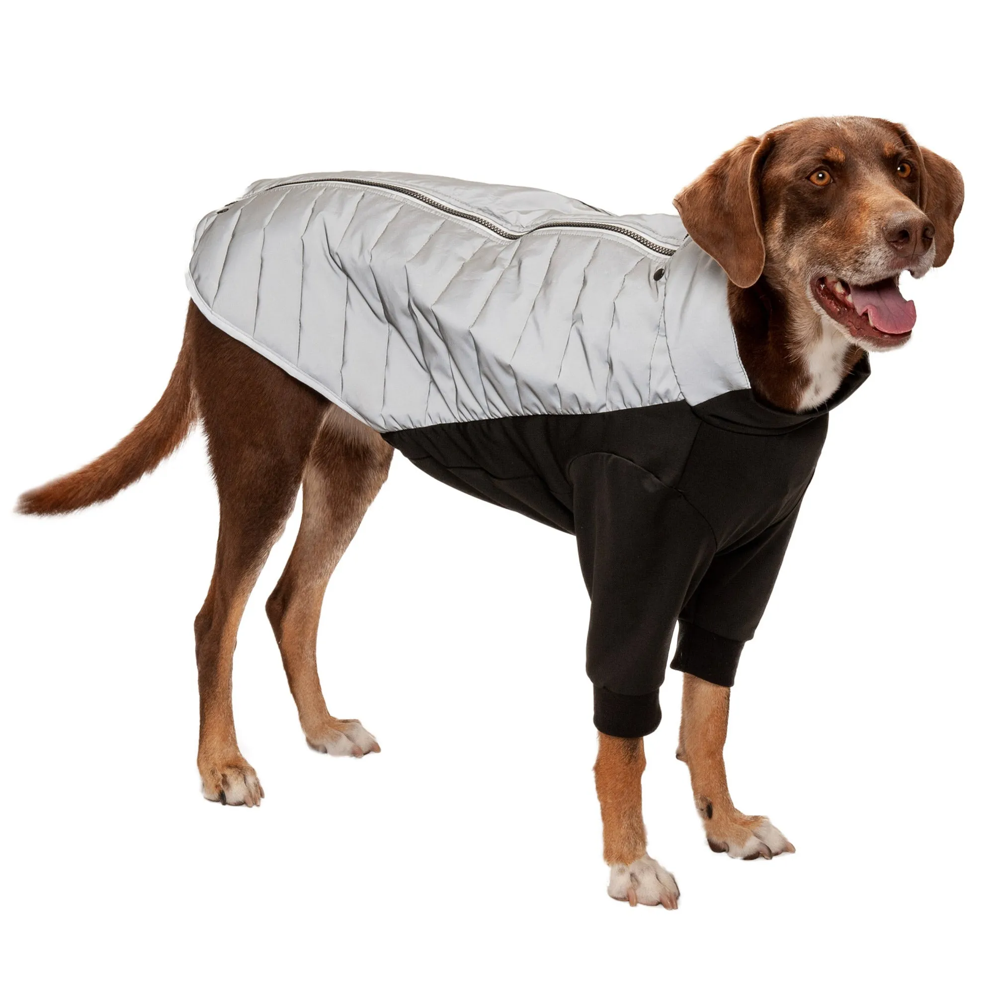 Water-Repellent Reflective Active Pro-Fit Dog Coat