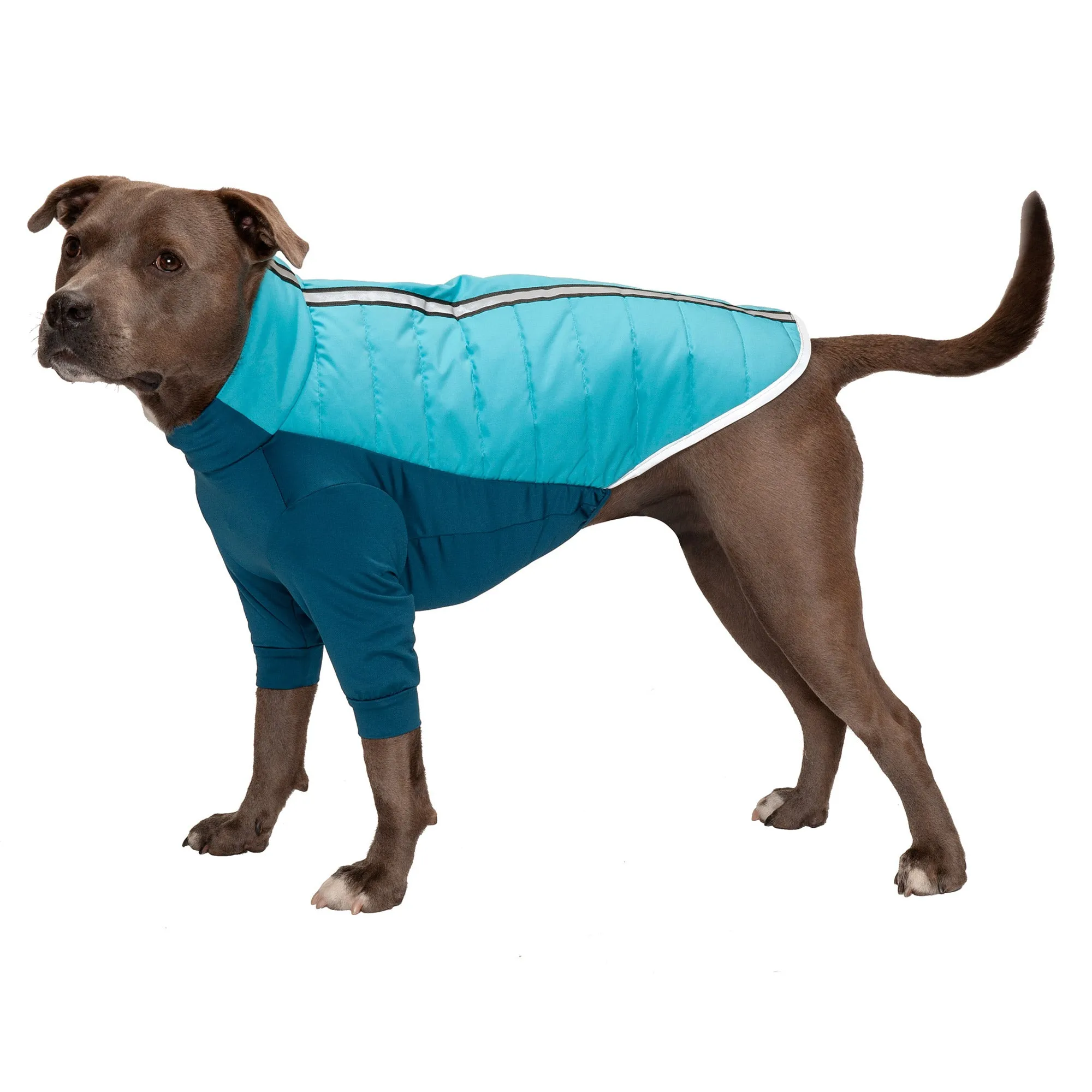 Water-Repellent Reflective Active Pro-Fit Dog Coat